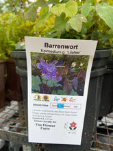Load image into Gallery viewer, Barrenwort
