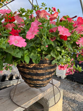 Load image into Gallery viewer, Deco Cone Hanger/Planter Combo
