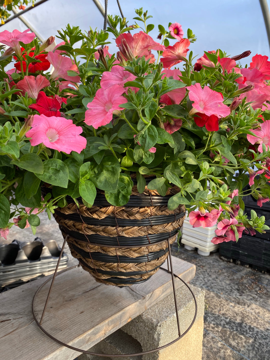 Deco Cone Hanger/Planter Combo