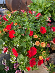 Deco Cone Hanger/Planter Combo