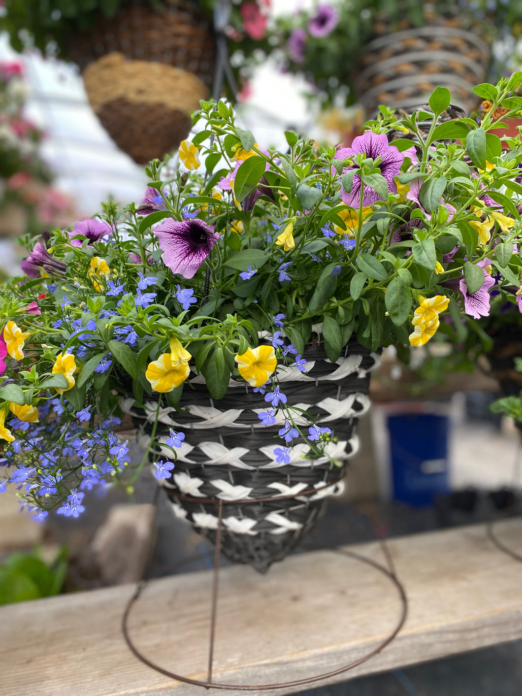 Deco Cone Hanger/Planter Combo