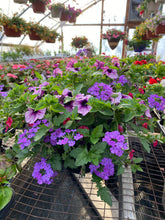 Load image into Gallery viewer, 13” Mixed Patio Container
