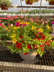 13” Mixed Patio Container