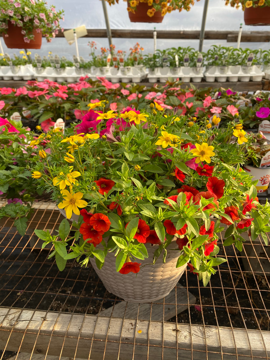13” Mixed Patio Container