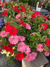 Load image into Gallery viewer, Deco Cone Hanger/Planter Combo
