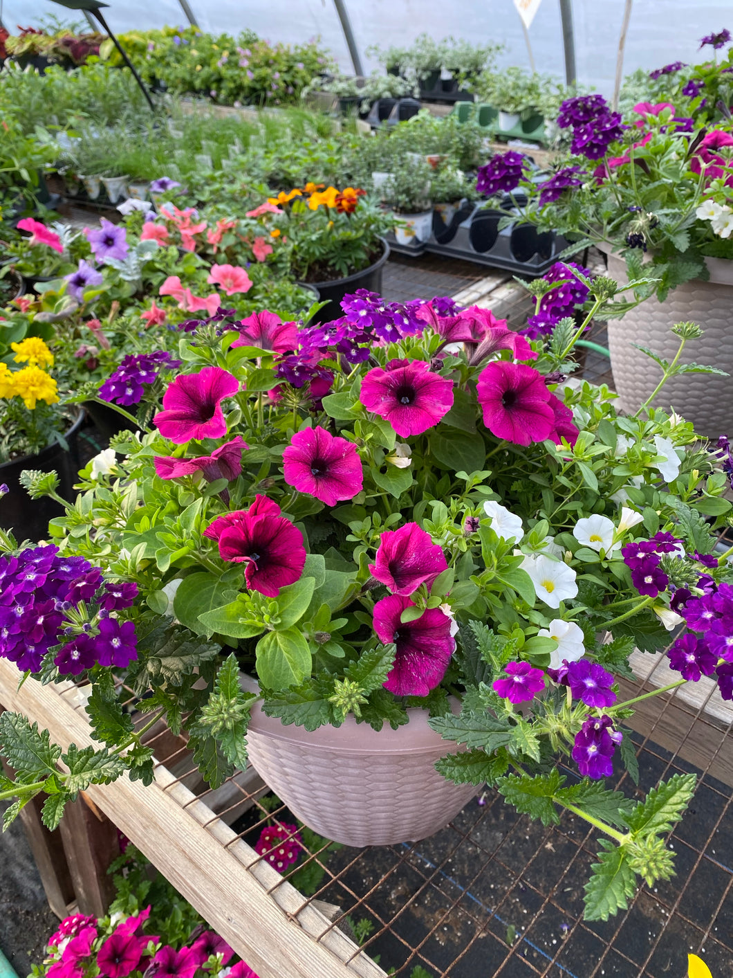 13” Mixed Patio Container