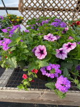 Load image into Gallery viewer, 13” Mixed Patio Container
