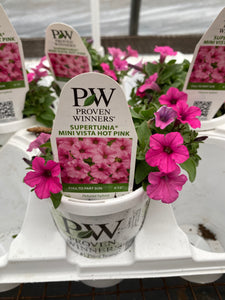 Proven Winners Supertunia