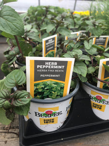 Peppermint