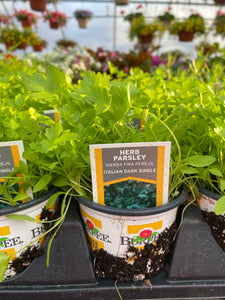 Parsley