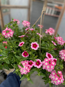 10” Mixed Hanging Basket