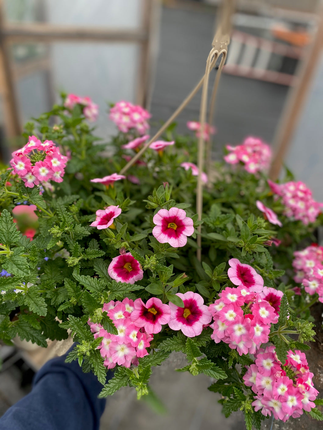10” Mixed Hanging Basket