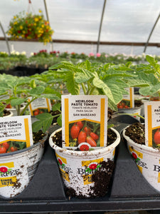 San Marzano Heirloom Tomato